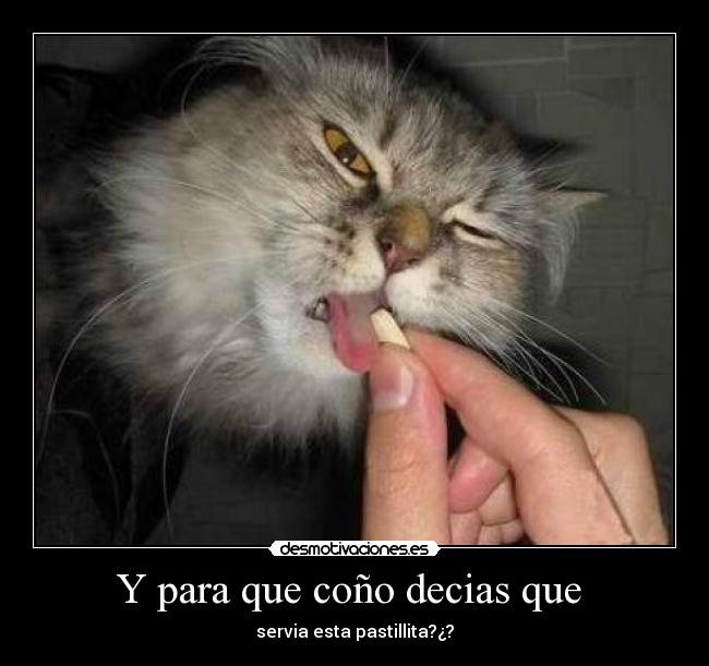 Y para que coño decias que - servia esta pastillita?¿?