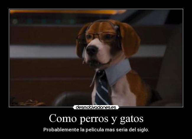 Como perros y gatos - Probablemente la película mas seria del siglo.