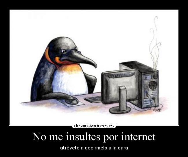 No me insultes por internet -