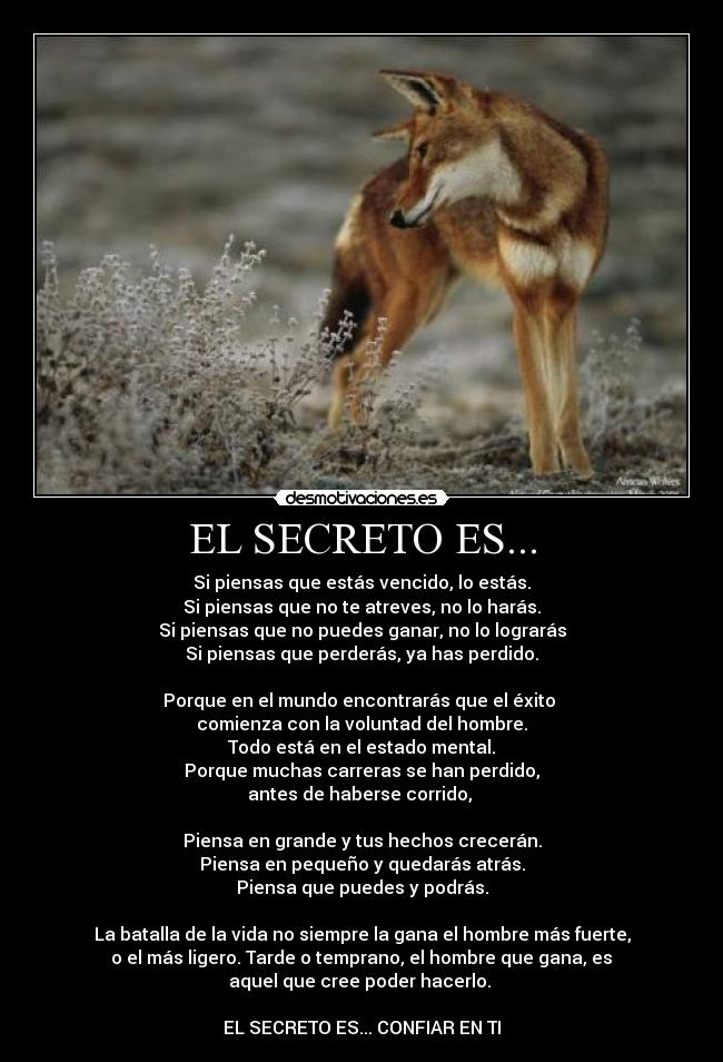 EL SECRETO ES... -
