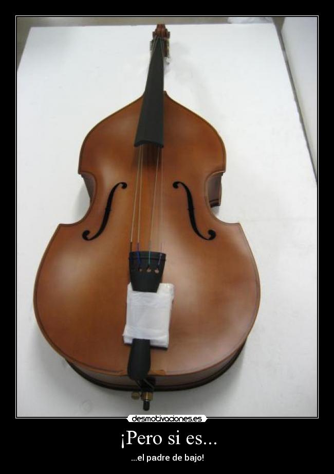 ¡Pero si es... - ...el padre de bajo!