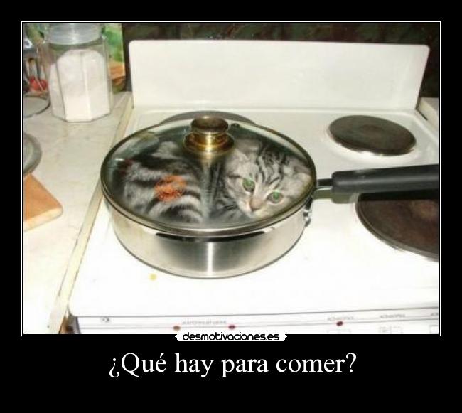 ¿Qué hay para comer? -