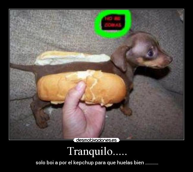 Tranquilo..... - solo boi a por el kepchup para que huelas bien ...........