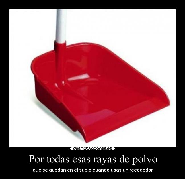 Por todas esas rayas de polvo - que se quedan en el suelo cuando usas un recogedor