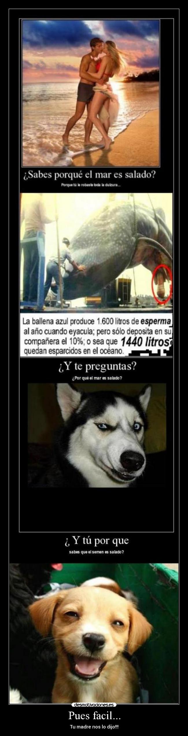 carteles butanero desmotivaciones