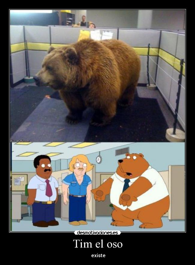 Tim el oso -