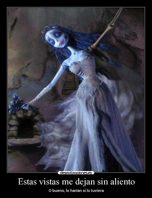 Estas vistas me dejan sin aliento -