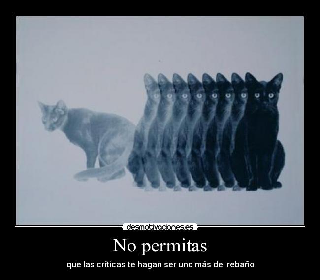 No permitas - 