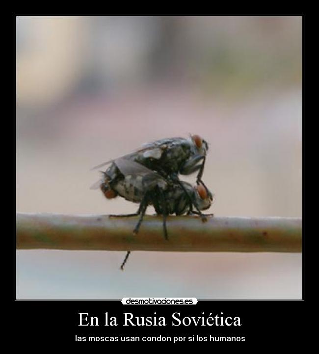 En la Rusia Soviética -