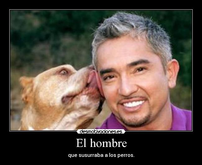 El hombre - que susurraba a los perros.