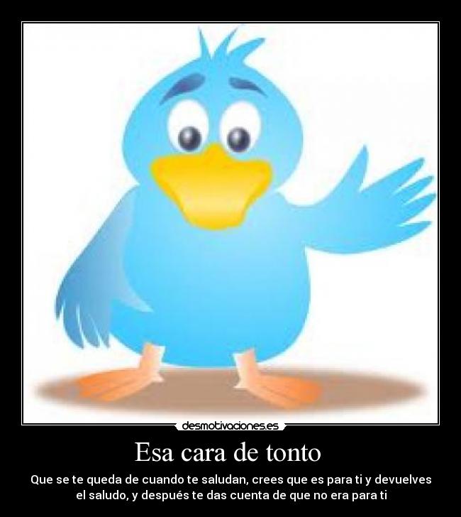 Esa cara de tonto - Que se te queda de cuando te saludan, crees que es para ti y devuelves
el saludo, y después te das cuenta de que no era para ti