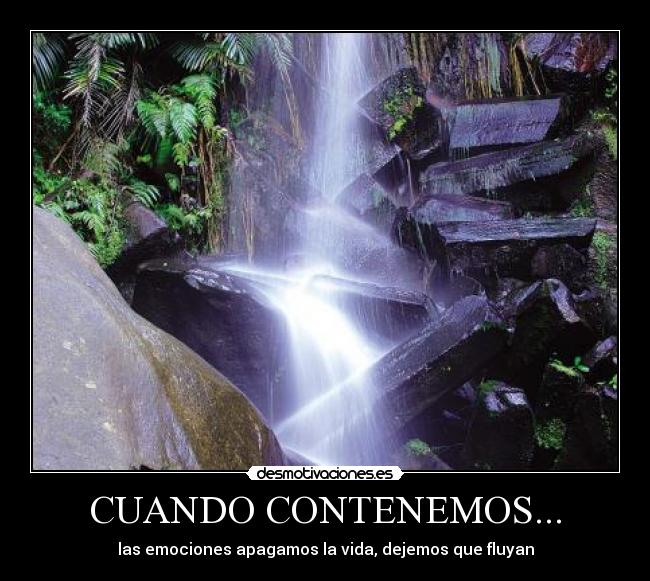 CUANDO CONTENEMOS... - 