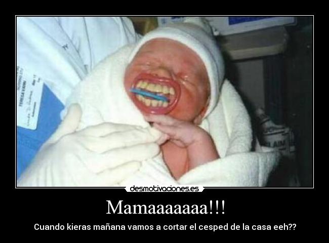 Mamaaaaaaa!!! - Cuando kieras mañana vamos a cortar el cesped de la casa eeh??