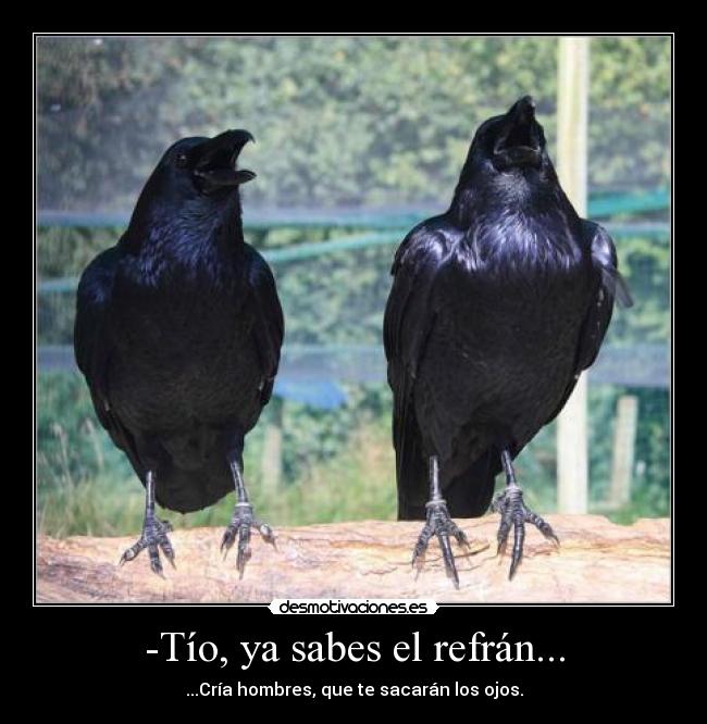 -Tío, ya sabes el refrán... - 