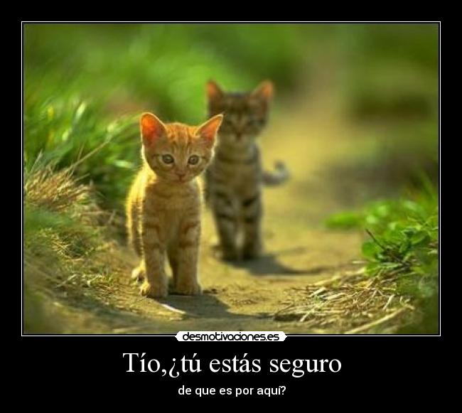 Tío,¿tú estás seguro - de que es por aquí?