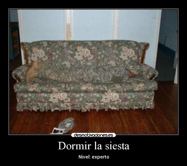Dormir la siesta - 