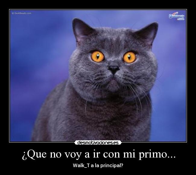 carteles walk_t desmotivaciones