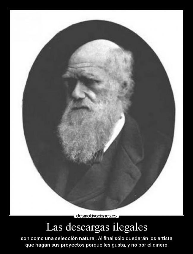 Las descargas ilegales - son como una selección natural. Al final sólo quedarán los artista
que hagan sus proyectos porque les gusta, y no por el dinero.