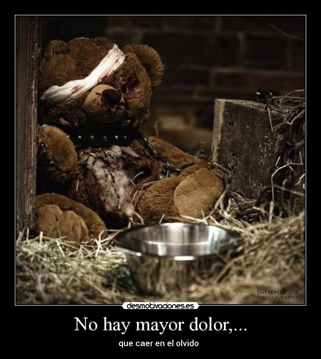 No hay mayor dolor,... - que caer en el olvido  