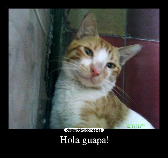 Hola guapa! -