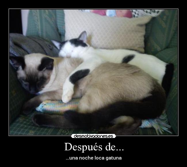 Después de... -
