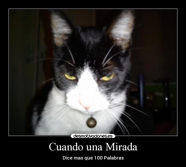 Cuando una Mirada - 