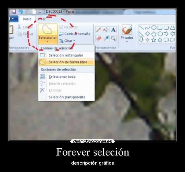 Forever seleción -