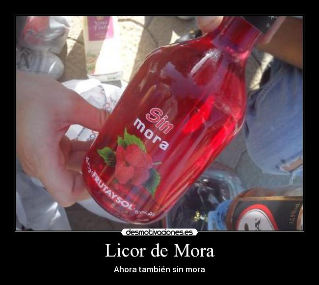 Licor de Mora -