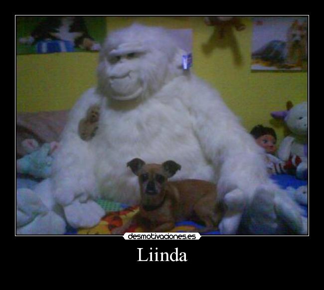 Liinda -