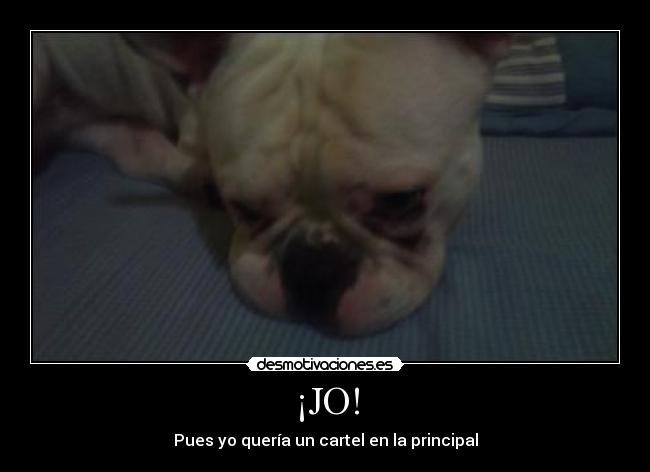¡JO! - Pues yo quería un cartel en la principal