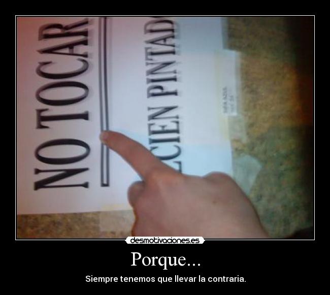 Porque... -