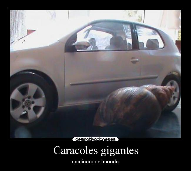 Caracoles gigantes - dominarán el mundo.