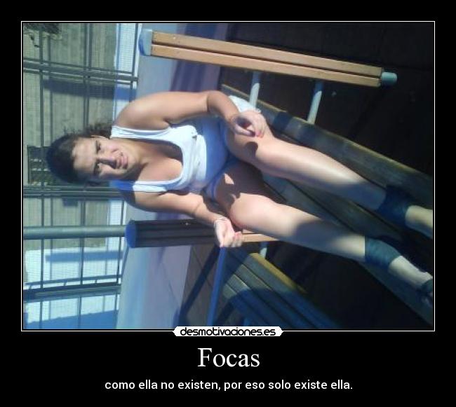 Focas - 