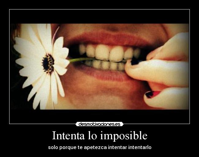 Intenta lo imposible - solo porque te apetezca intentar intentarlo