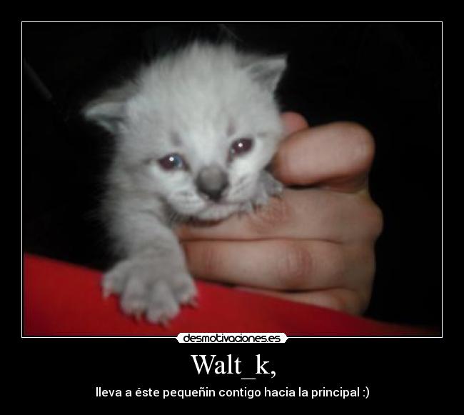 Walt_k, - lleva a éste pequeñin contigo hacia la principal :)