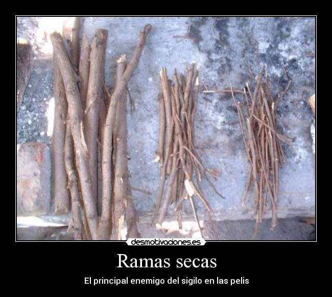 Ramas secas -
