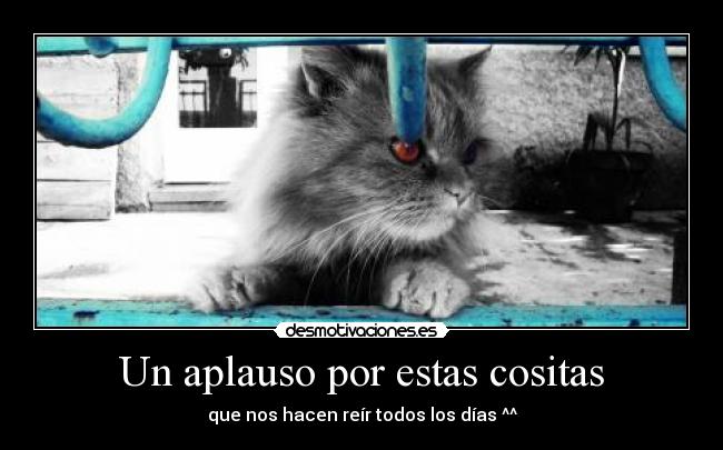 Un aplauso por estas cositas -