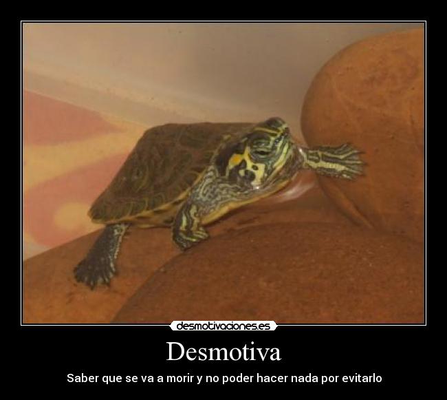 Desmotiva - Saber que se va a morir y no poder hacer nada por evitarlo