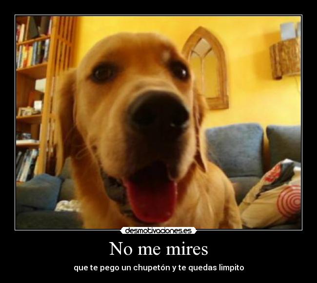 No me mires - 