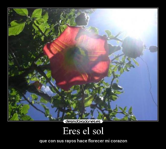 Eres el sol - que con sus rayos hace florecer mi corazon