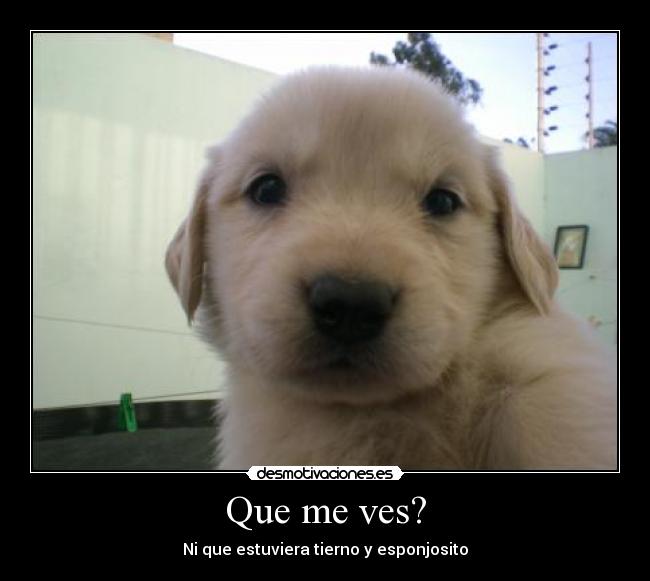Que me ves? -