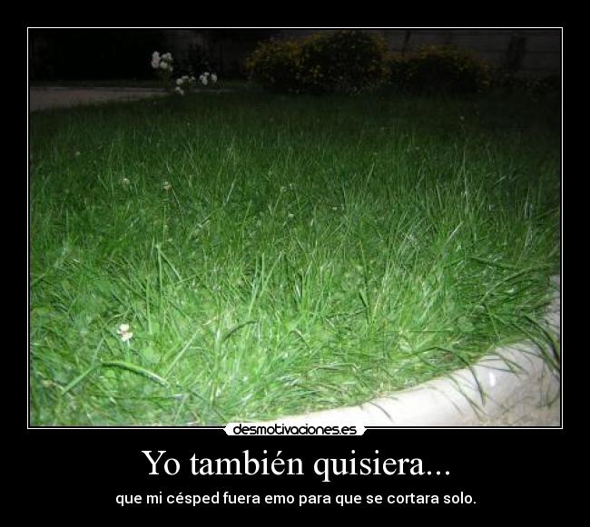 Yo también quisiera... - 