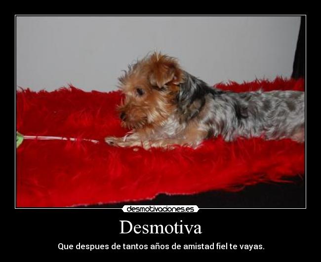 Desmotiva -
