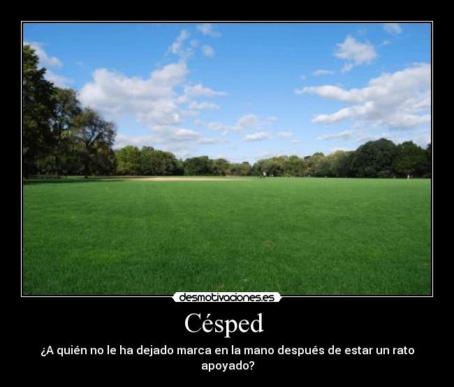 Césped  - 