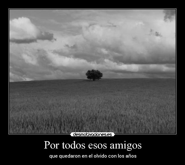 Por todos esos amigos -