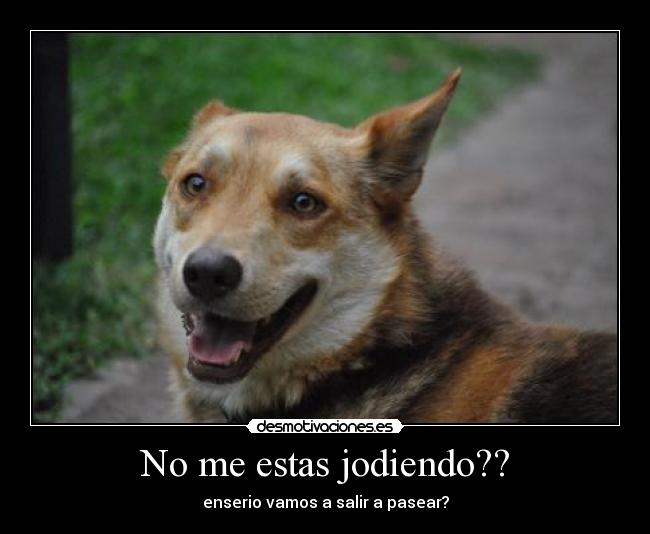 No me estas jodiendo?? -