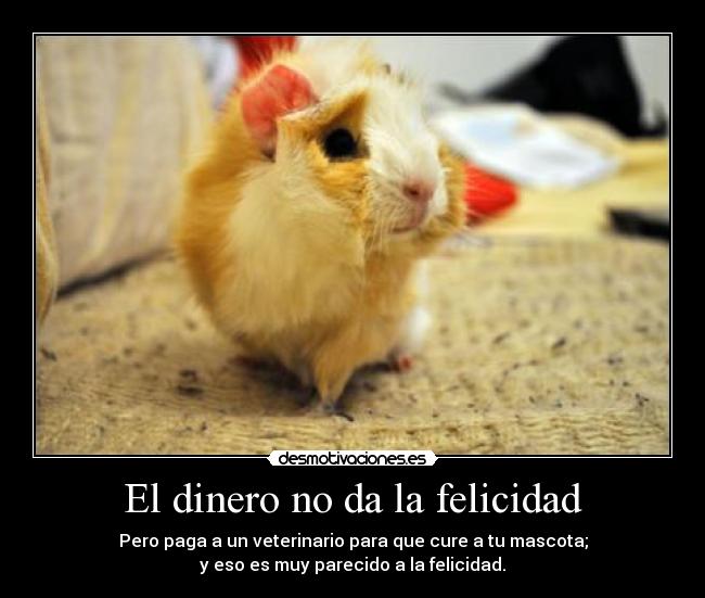 El dinero no da la felicidad - Pero paga a un veterinario para que cure a tu mascota;
y eso es muy parecido a la felicidad.