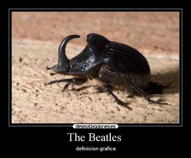 carteles the beatles desmotivaciones