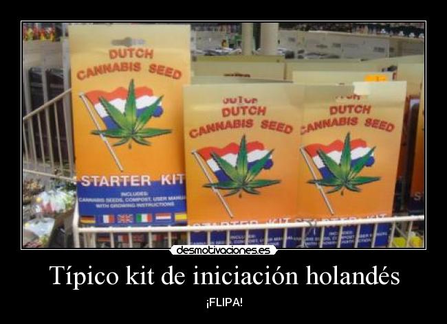 Típico kit de iniciación holandés - ¡FLIPA!