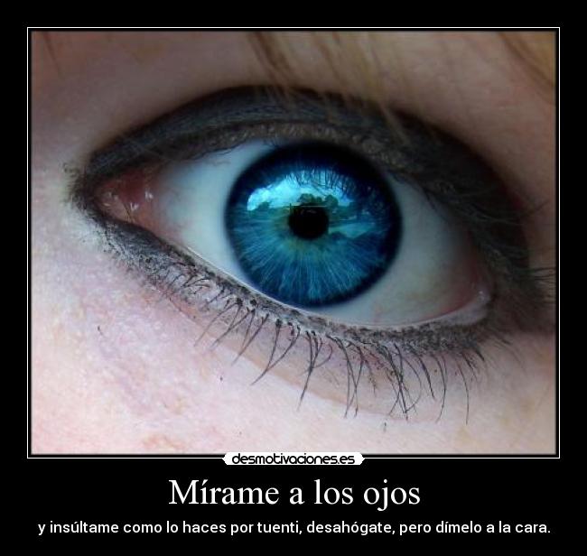 Mírame a los ojos - y insúltame como lo haces por tuenti, desahógate, pero dímelo a la cara.